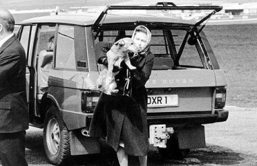 07_royal_rovers.jpg