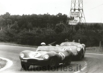 10_1956_Jaguar D-type_Le Mans_Sanderson_Flockhart.jpg