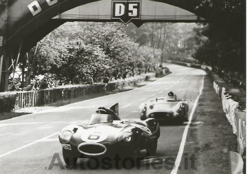 5_1955_Jaguar D-type_Le Mans.jpg