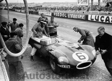 8_1955_Jaguar D-type_ Le Mans_Hawthorne.jpg