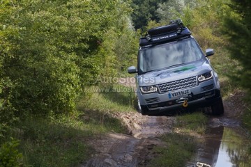 RR_RRS_Hybrids_210813_05.jpg