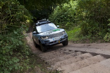 RR_RRS_Hybrids_210813_07.jpg