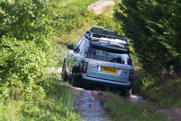 RR_RRS_Hybrids_210813_11.jpg