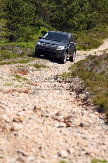 2013_Freelander_13.jpg