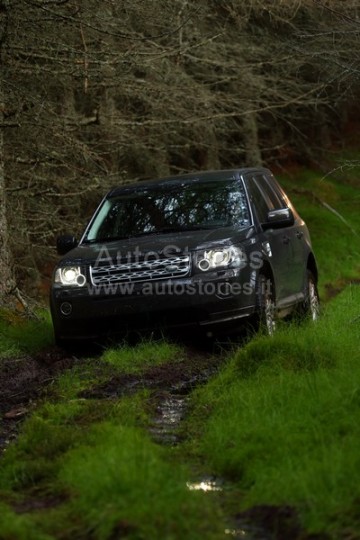 2013_Freelander_15.jpg