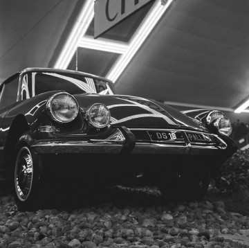 1-ds pallas.jpg