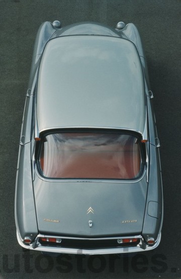 4-ds pallas.jpg