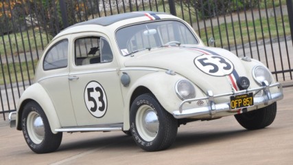09_herbie1-1.jpg