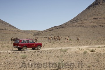 03_RR_Prototipo Velar nel deserto_2.jpg