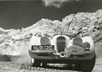 02_Jaguar XK120_Coppa Alpi.jpg